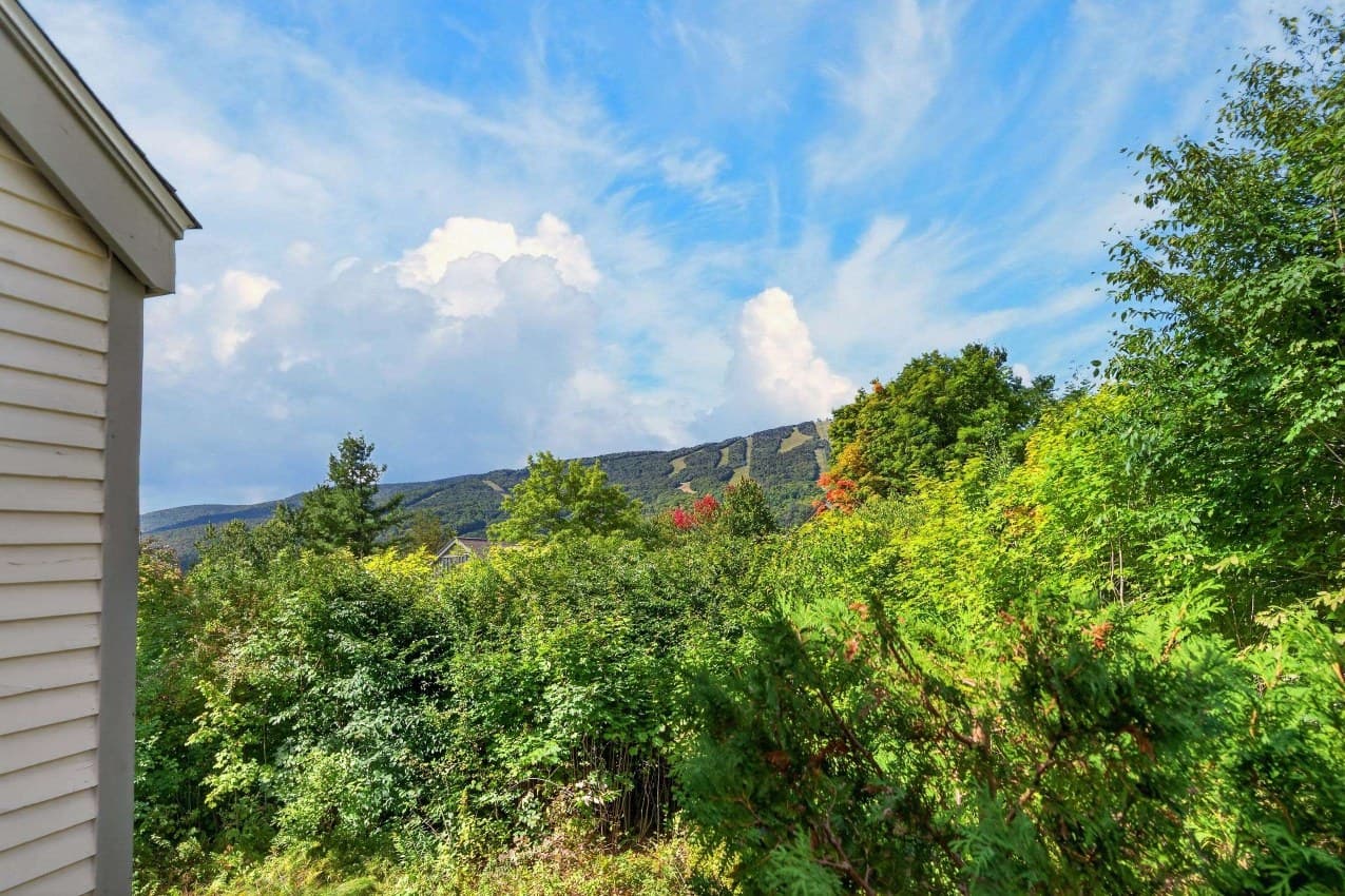 82C Greenspring Road photo 2